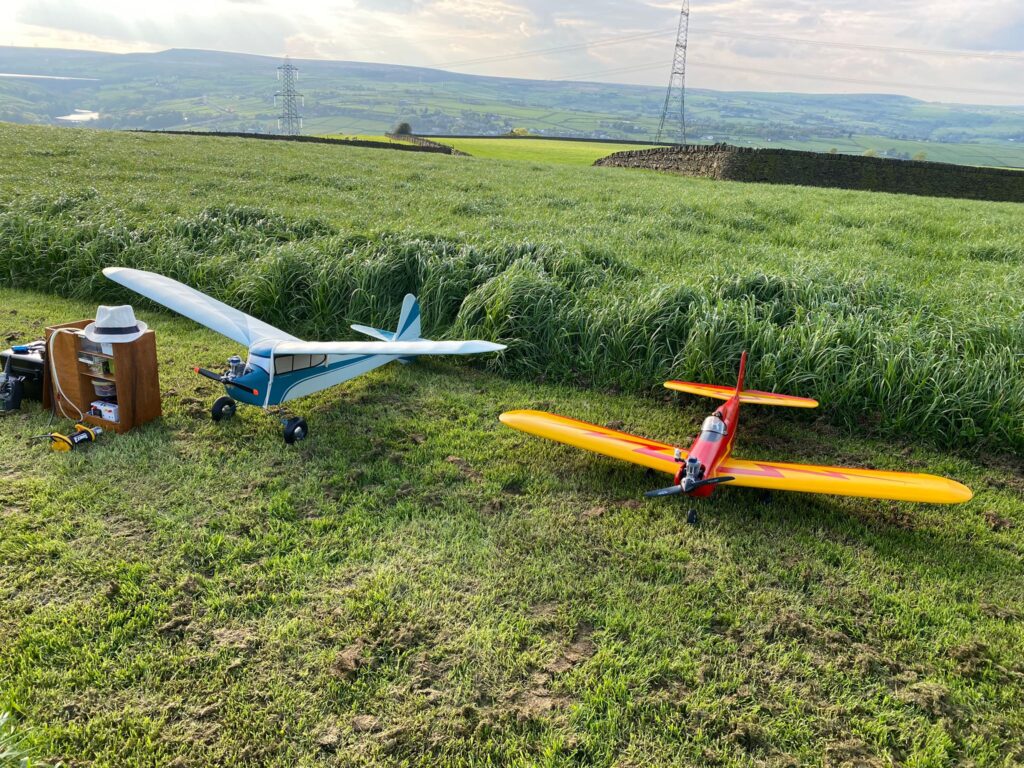 A Pair of Stalwarts